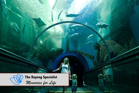 Rayong-aquarium