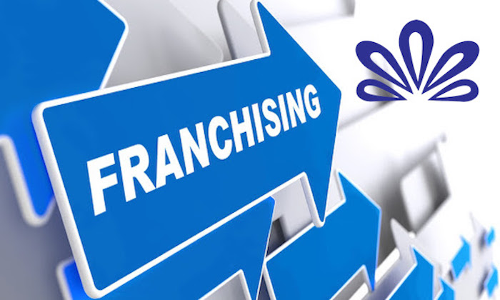 Franchising Article Icon